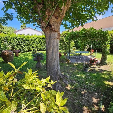 B&B Casa Tessieri ルッカ エクステリア 写真