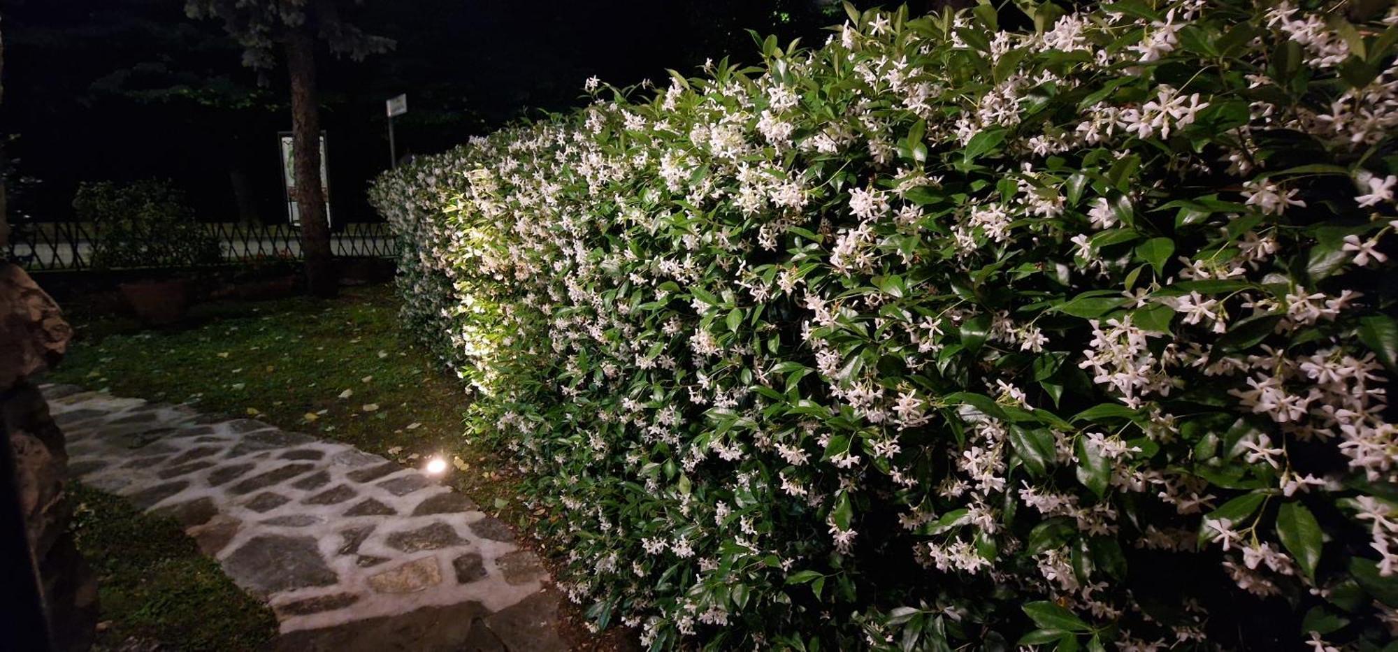 B&B Casa Tessieri ルッカ エクステリア 写真